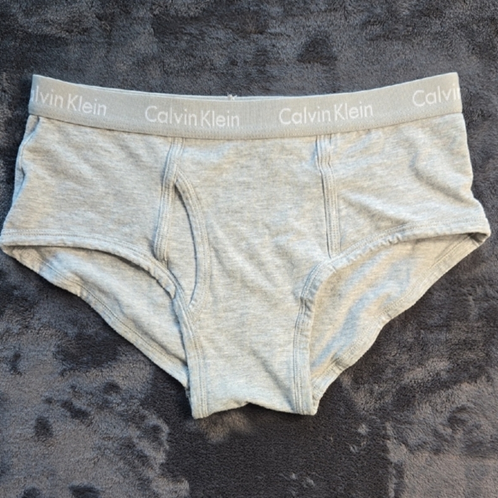 Calvin Klein Gray Briefs
